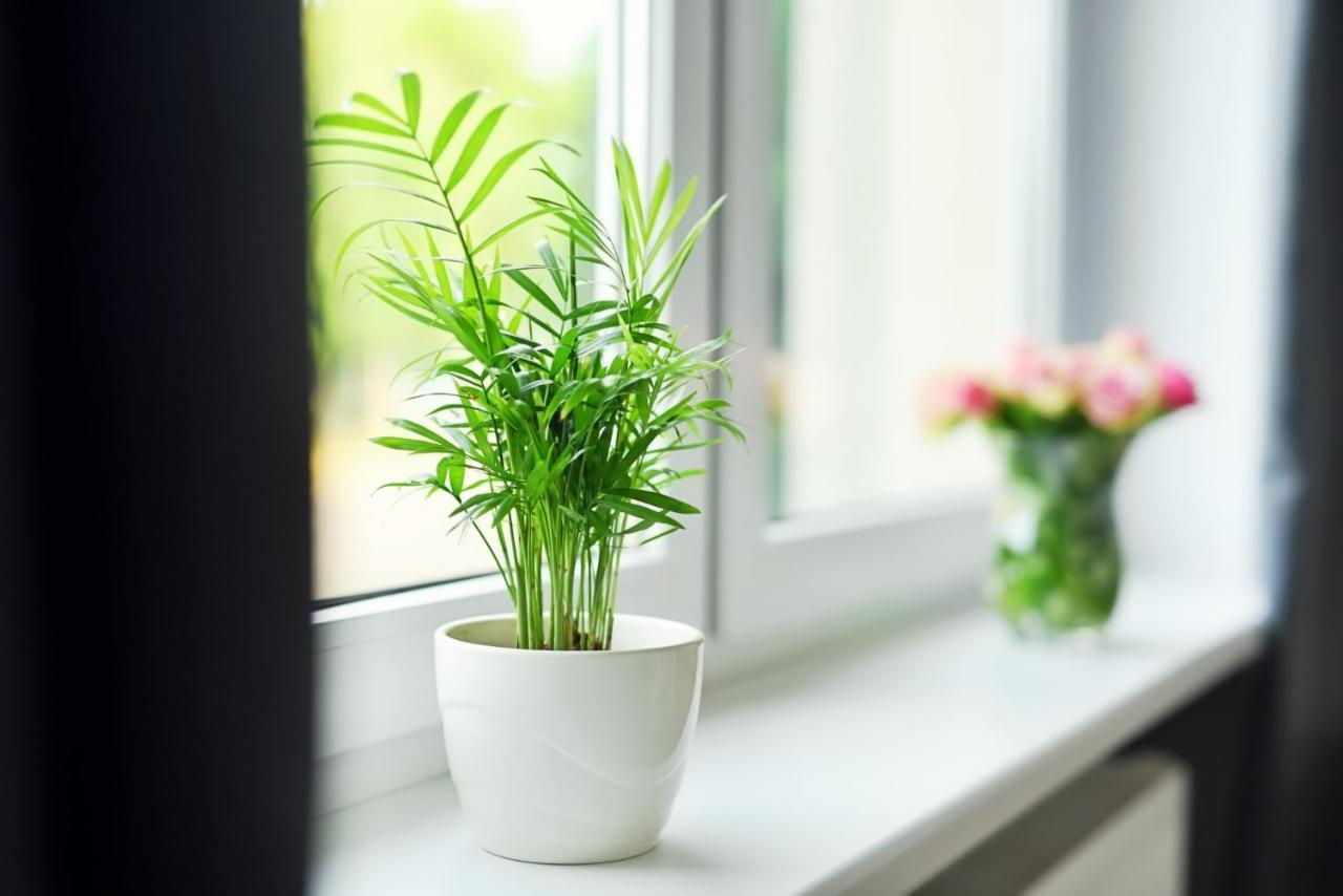 Apartamenty Lotnisko Leszno Leszno  Ngoại thất bức ảnh
